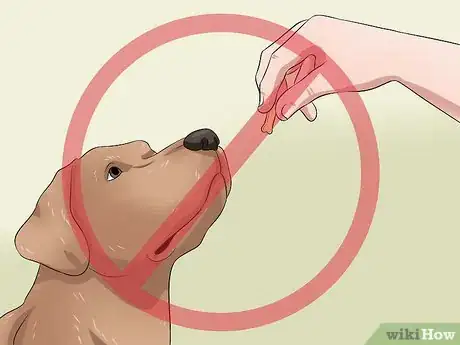 Image titled Tame a Dog Step 11