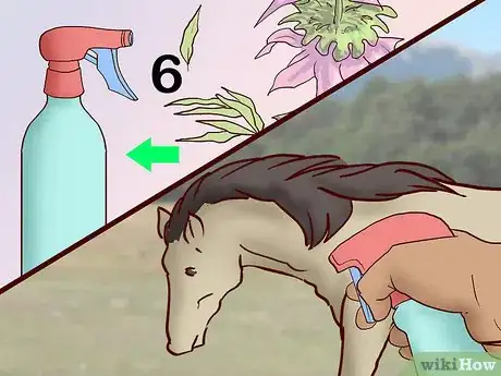 Image titled Feed a Horse a Mint Step 11