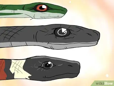 Image titled Choose Your First Pet Snake Step 2Bullet2