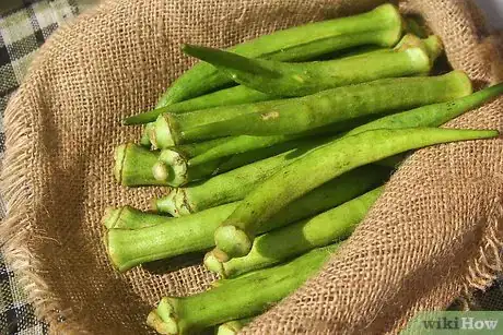 Image titled Dry Okra Seeds Step 4