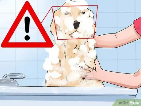 Image titled Have Fun Giving Your Dog a Flea Bath Step 6