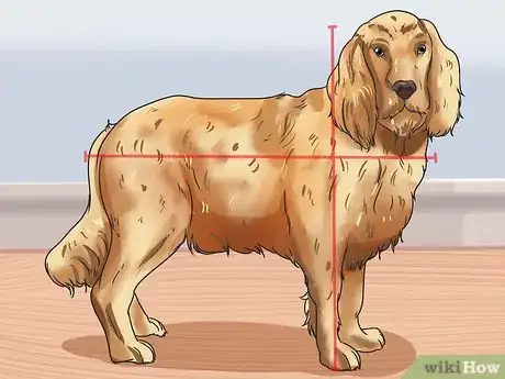 Image titled Calculate Dog Years Step 4