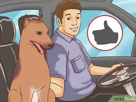 Image titled Get a C‐Section for Your Dog Step 4