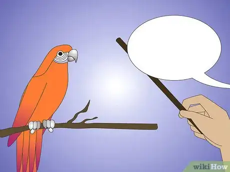 Image titled Teach Your Parrot to Wave Hello Step 6