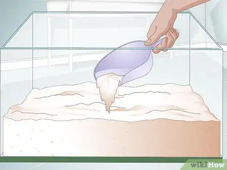 Image titled Buy a Pet Hermit Crab Step 9