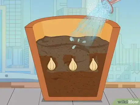 Image titled Plant Snowdrops Step 10