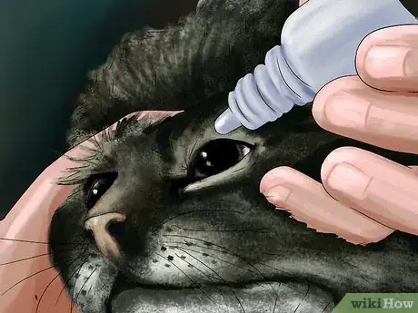 Image titled Diagnose and Treat Dry Eye in Cats Step 10