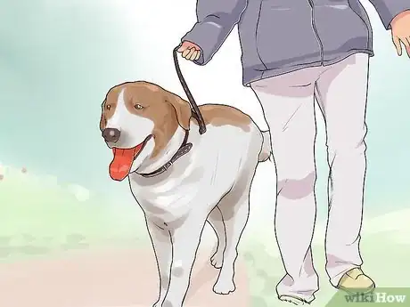 Image titled Introduce Your New Dog to the Neighbors Step 3