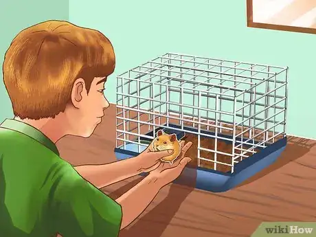 Image titled Be a Good Hamster Owner (for Kids) Step 9