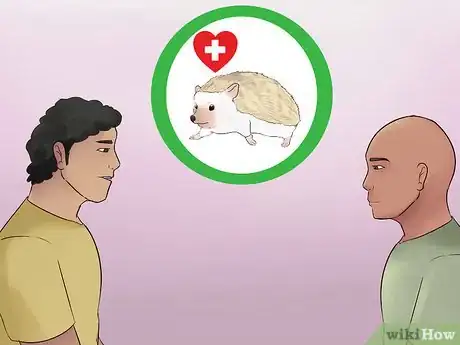 Image titled Buy a Hedgehog Step 9