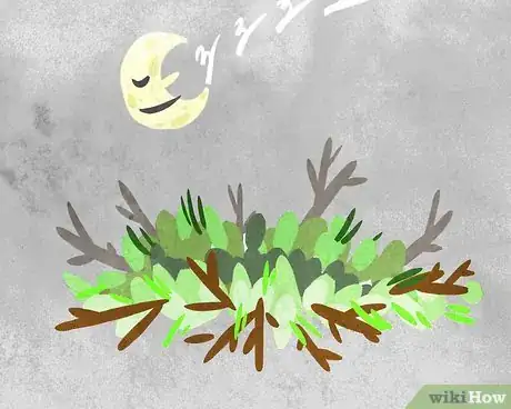 Image titled Survive Alone in the Woods with Nothing but a Hatchet Step 12