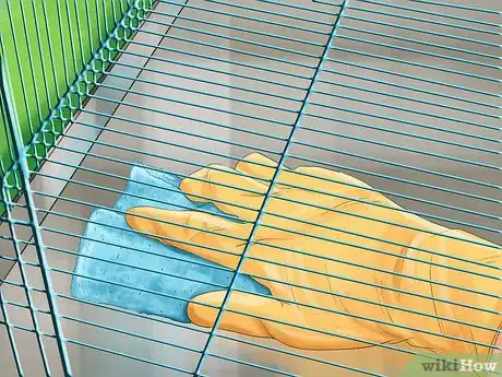 Image titled Prevent Infections in Parakeets Step 9