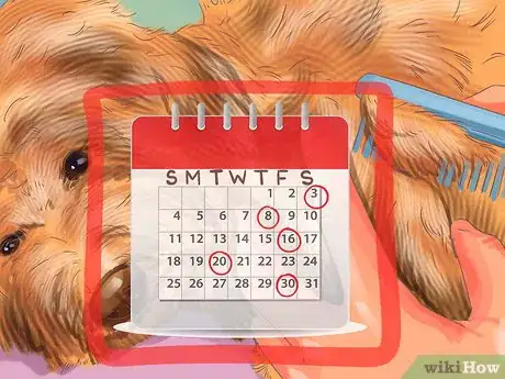 Image titled Groom a Thick Furred Dog Step 8