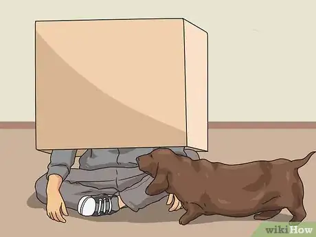 Image titled Keep Your Dog from Being Bored Step 7