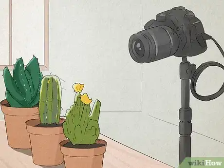 Image titled Take Still Life Photography Step 11