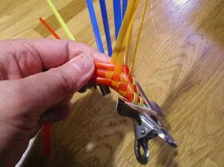 Image titled Ssack15_528.JPG