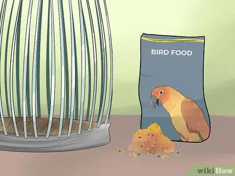 Image titled Teach a Conure to Talk Step 1