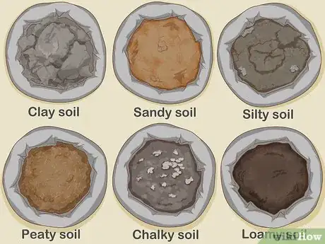 Image titled Pick Low Maintenance Perennials for Your Garden Step 2