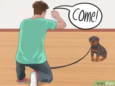 Image titled Prepare Your Dog to Go Off‐Leash Step 2