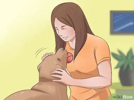 Image titled Tame a Dog Step 10