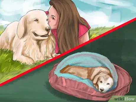 Image titled Bring Up a Loyal Dog Step 15