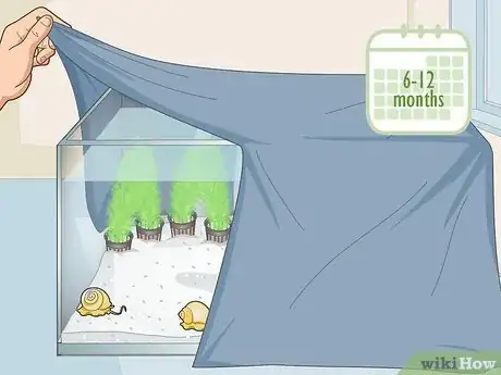 Image titled Avoid Algae in an Aquarium Step 11