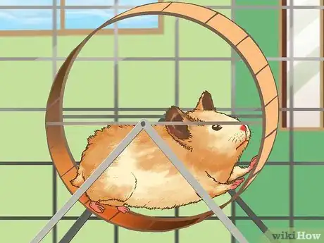 Image titled Be a Good Hamster Owner (for Kids) Step 3