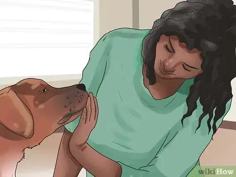 Image titled Get Dogs to Mate Step 24