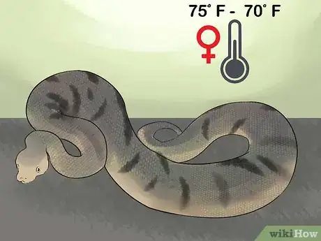 Image titled Mate Anacondas Step 3