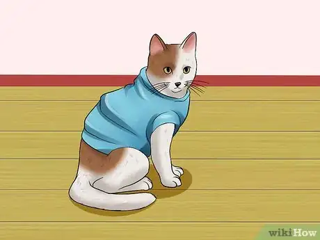 Image titled Measure Clothing for Your Cat Step 7