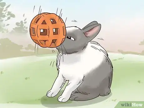 Image titled Care for a Polish Rabbit Step 11