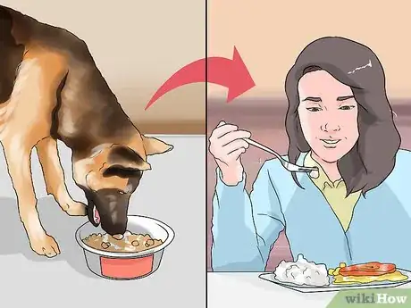 Image titled Handle Dog Begging for Food Step 5