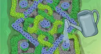 Plant a Herbal Knot Garden