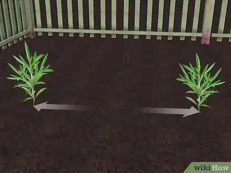 Image titled Grow Oleander Step 12