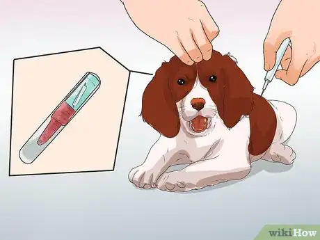 Image titled Prepare Your Dog for a Road Trip Step 3