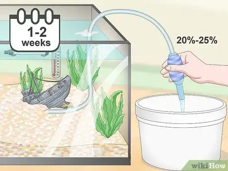Image titled Build a Freshwater Predator Fish Aquarium Step 19