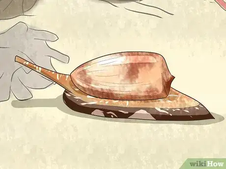 Image titled Identify Dangerous Marine Animals in Australian Waters Step 4