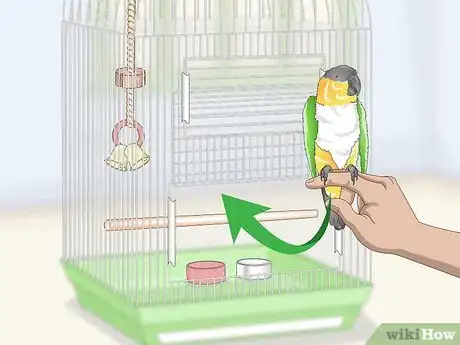 Image titled Clean a Caique Parrot Cage Step 12