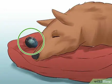 Image titled Use Orgonite_Orgone Step 7