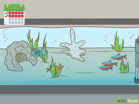 Image titled Find Compatible Tank Mates for Guppies Step 16