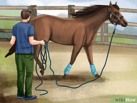 Image titled Round Pen a Horse Step 9