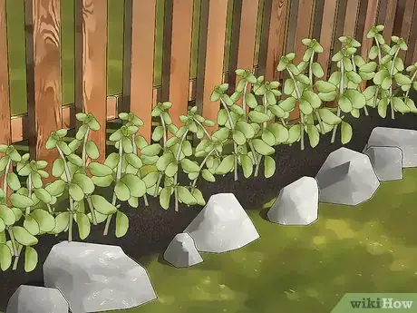 Image titled Get Rid of Fleas Naturally Step 14