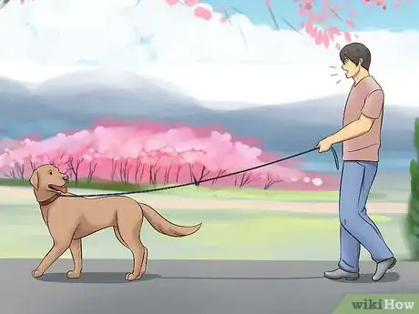 Image titled Tame a Dog Step 23