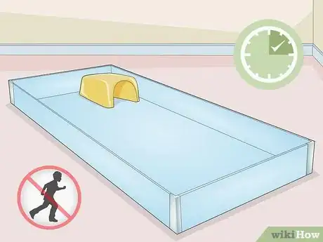 Image titled Teach Your Guinea Pig to Come when Called Step 13