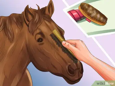Image titled Assemble a Horse Grooming Kit Step 8