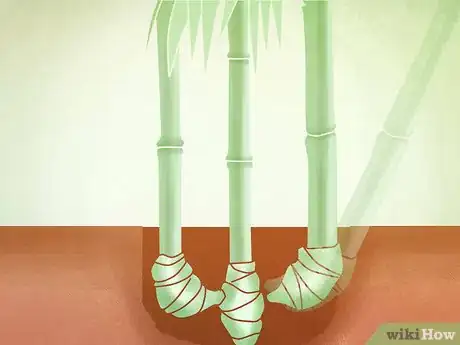 Image titled Plant a Clumping Bamboo Step 9