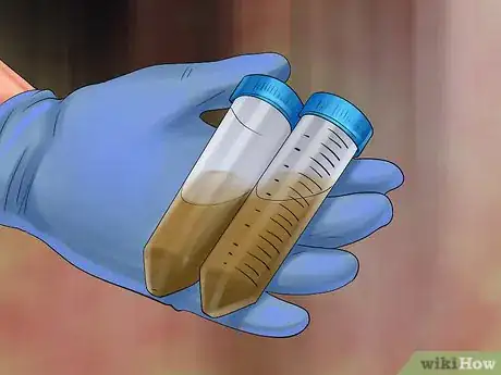 Image titled Remove Parasite Samples from a Cat Step 3