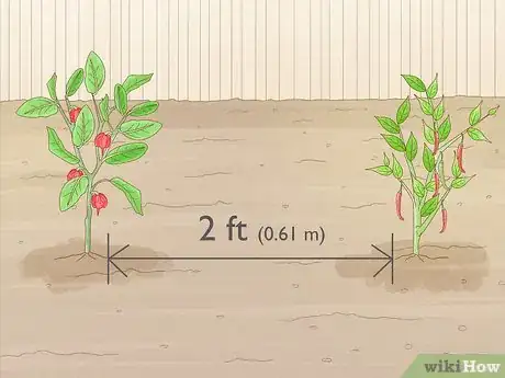 Image titled Grow Hotter Chillies Step 6