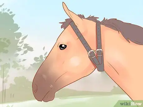 Image titled Keep a Horse from Cribbing Step 10