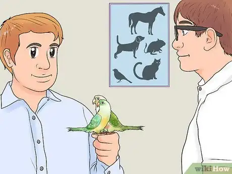 Image titled Treat Chlamydiosis in Conures Step 6